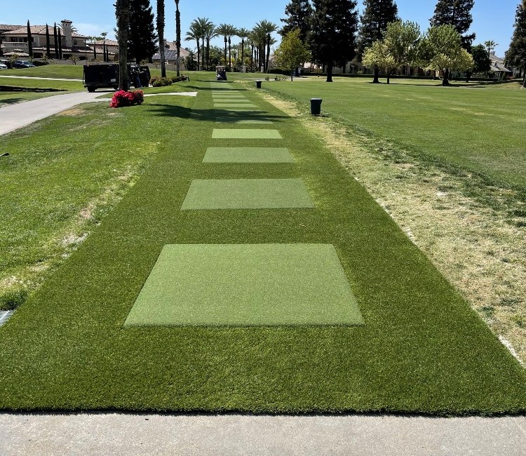 DP Turf - Personal Backtard Putting Greens - Southwest Greens Tee Lines